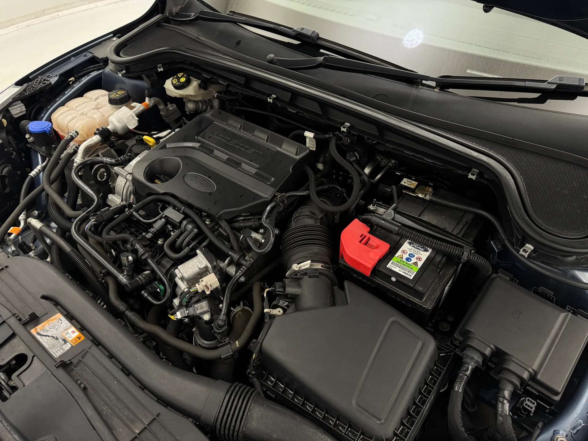 2019 FORD FOCUS 2019 FORD FOCUS