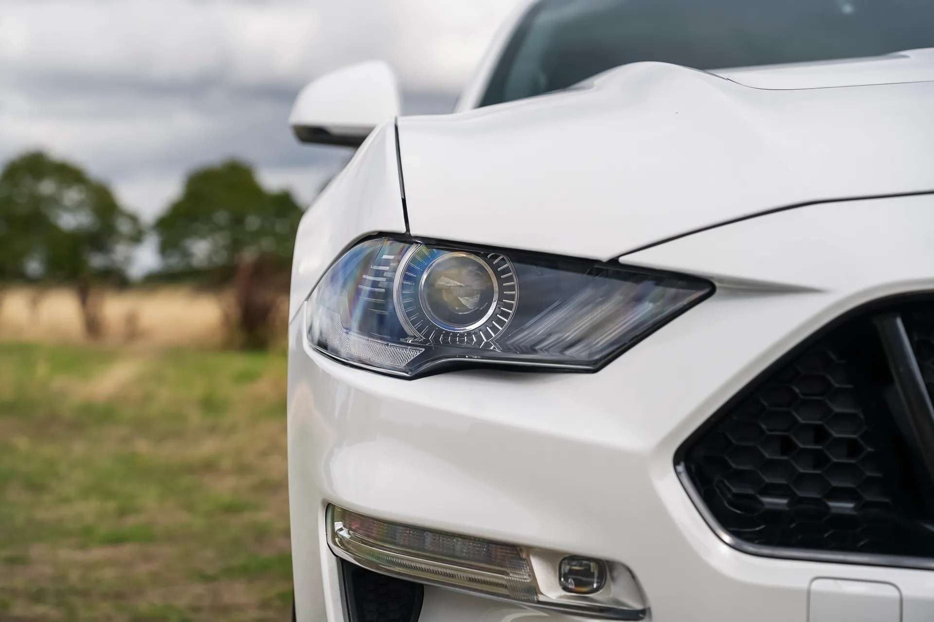 2020 FORD MUSTANG 2020 FORD MUSTANG