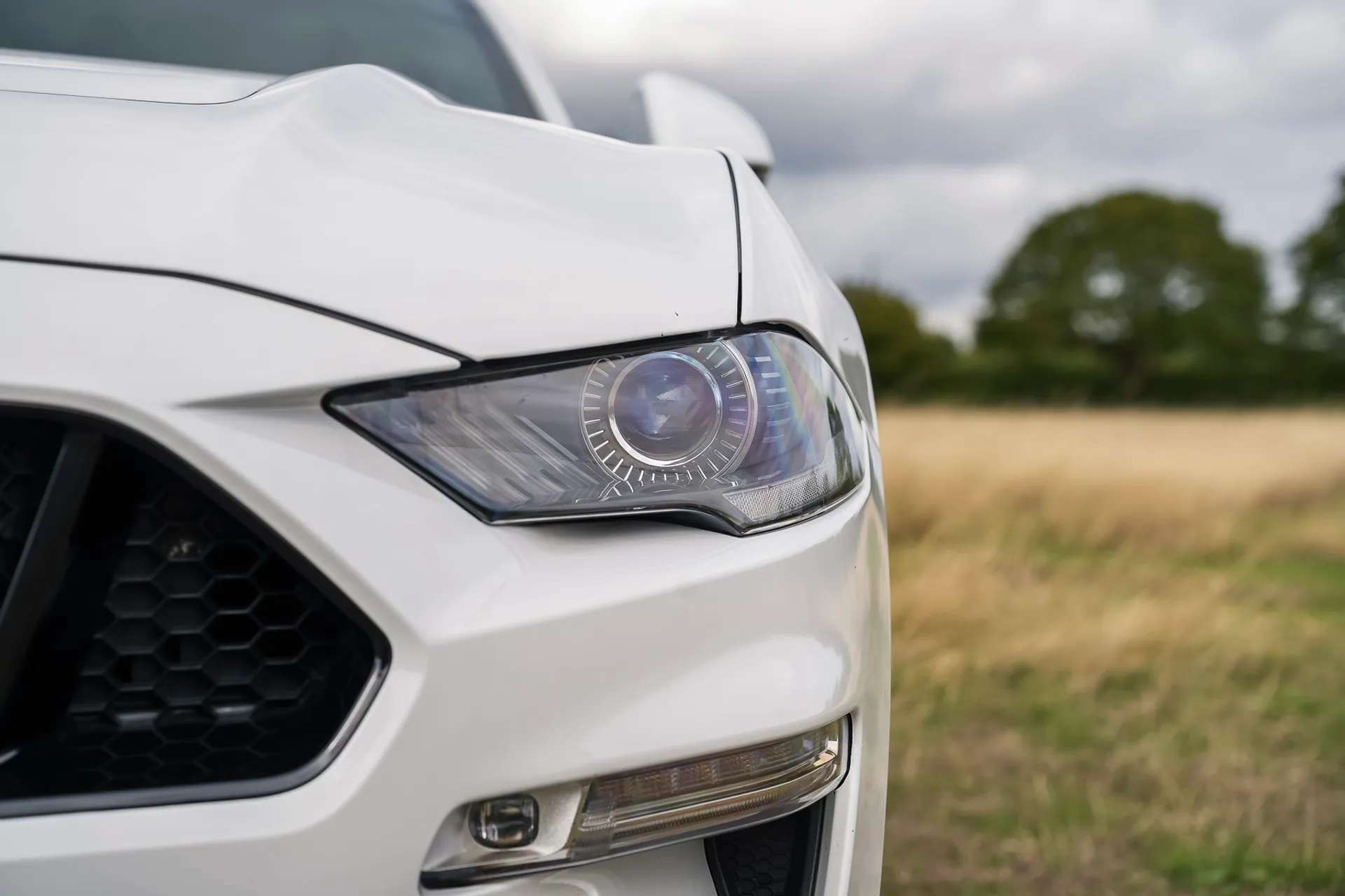 2020 FORD MUSTANG 2020 FORD MUSTANG