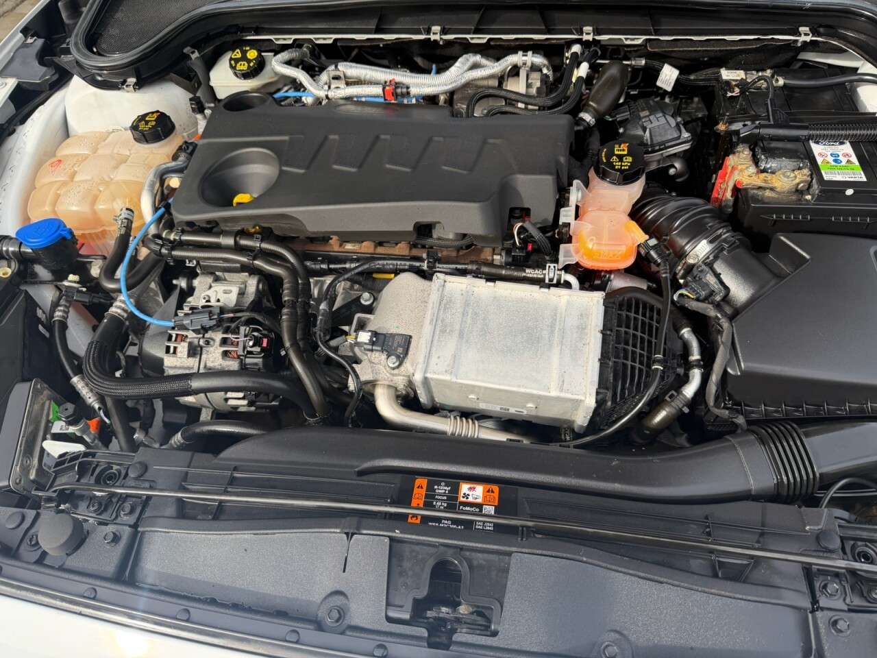 2019 FORD FOCUS 2019 FORD FOCUS