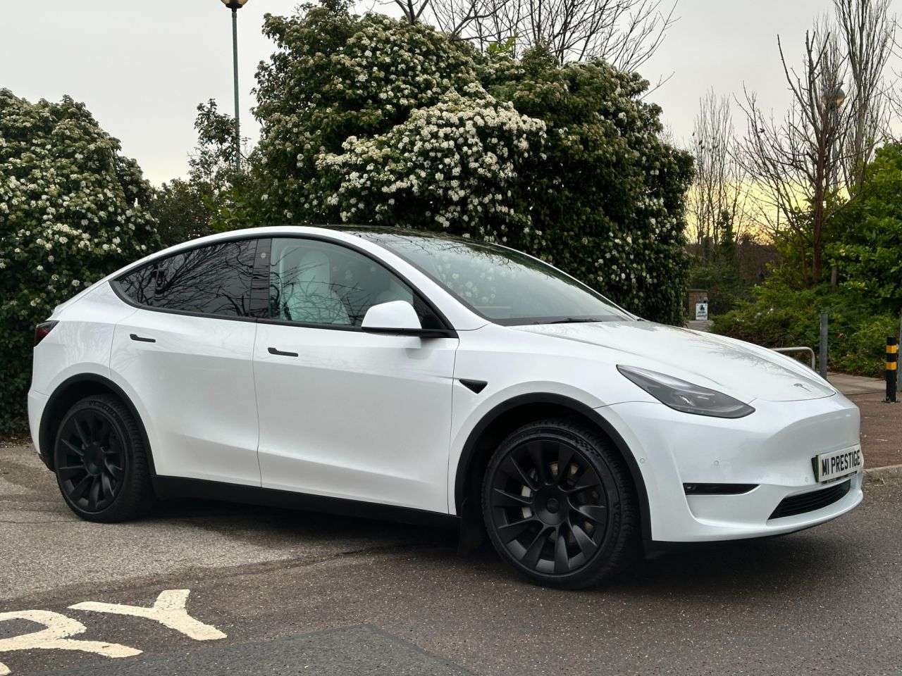 2022 TESLA MODEL Y 2022 TESLA MODEL Y