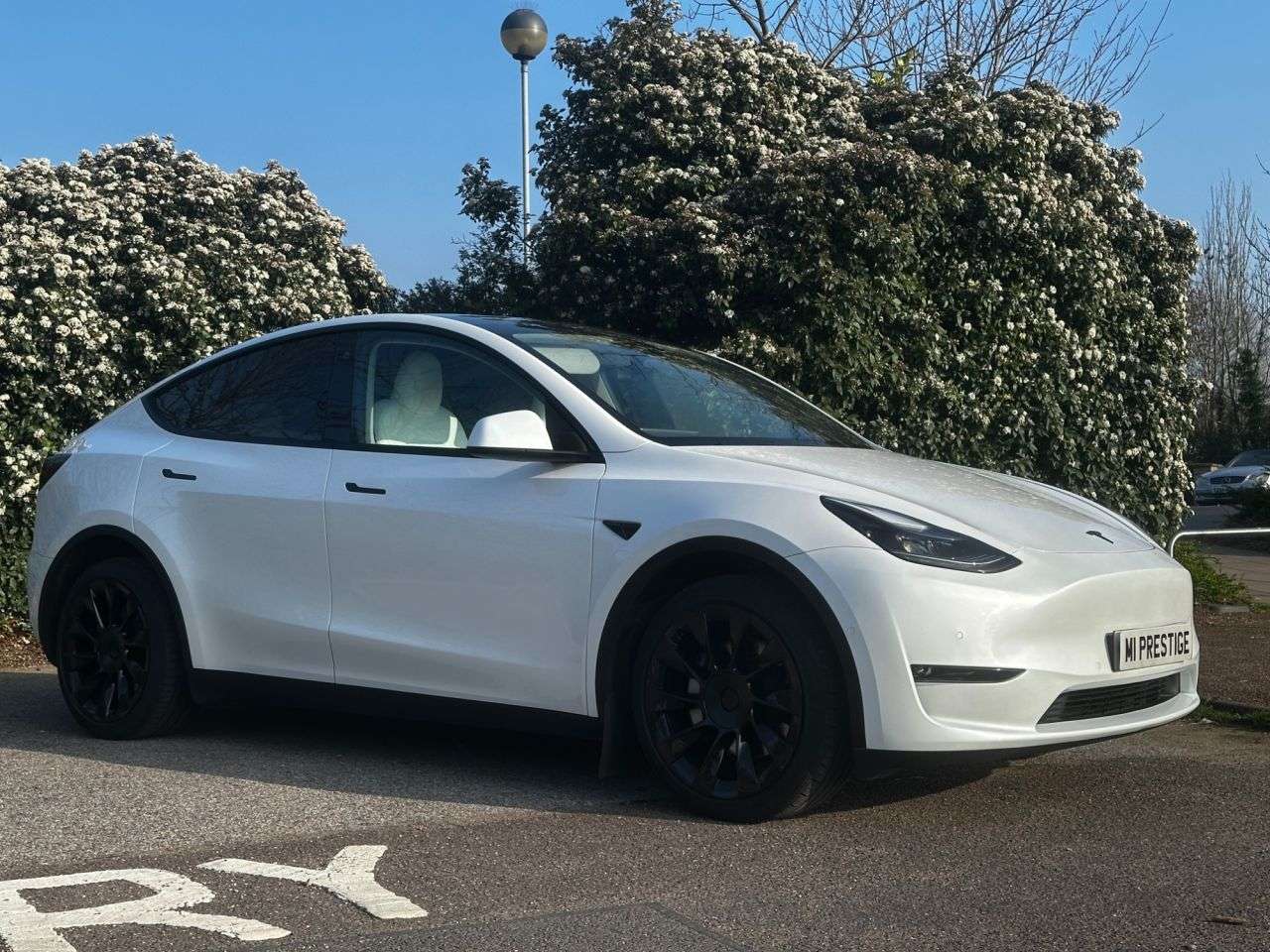 2022 TESLA MODEL Y 2022 TESLA MODEL Y