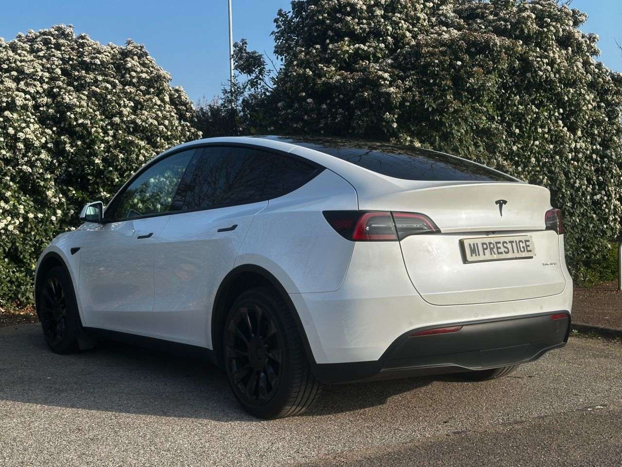 2022 TESLA MODEL Y 2022 TESLA MODEL Y