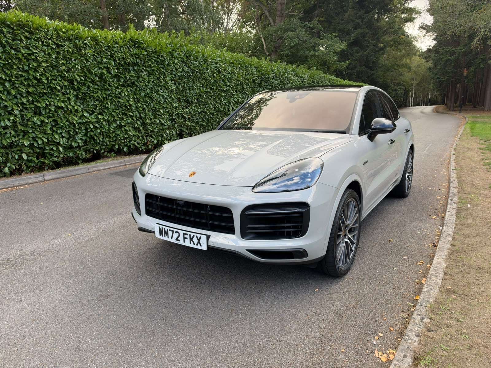 A 2023 PORSCHE CAYENNE 3.0 V6 E-Hybrid 17.9kWh Platinum Edition Coupe 5dr Petrol Plug-in Hybrid TiptronicS 4WD Euro 6 (s/s) (3.6kW Charger) (462 ps) A 2023 PORSCHE CAYENNE 3.0 V6 E-Hybrid 17.9kWh Platinum Edition Coupe 5dr Petrol Plug-in Hybrid TiptronicS 4WD Euro 6 (s/s) (3.6kW Charger) (462 ps)