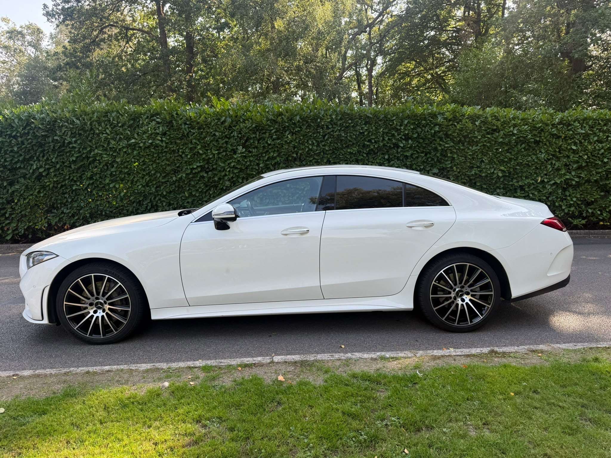 2019 MERCEDES-BENZ CLS CLASS 2019 MERCEDES-BENZ CLS CLASS
