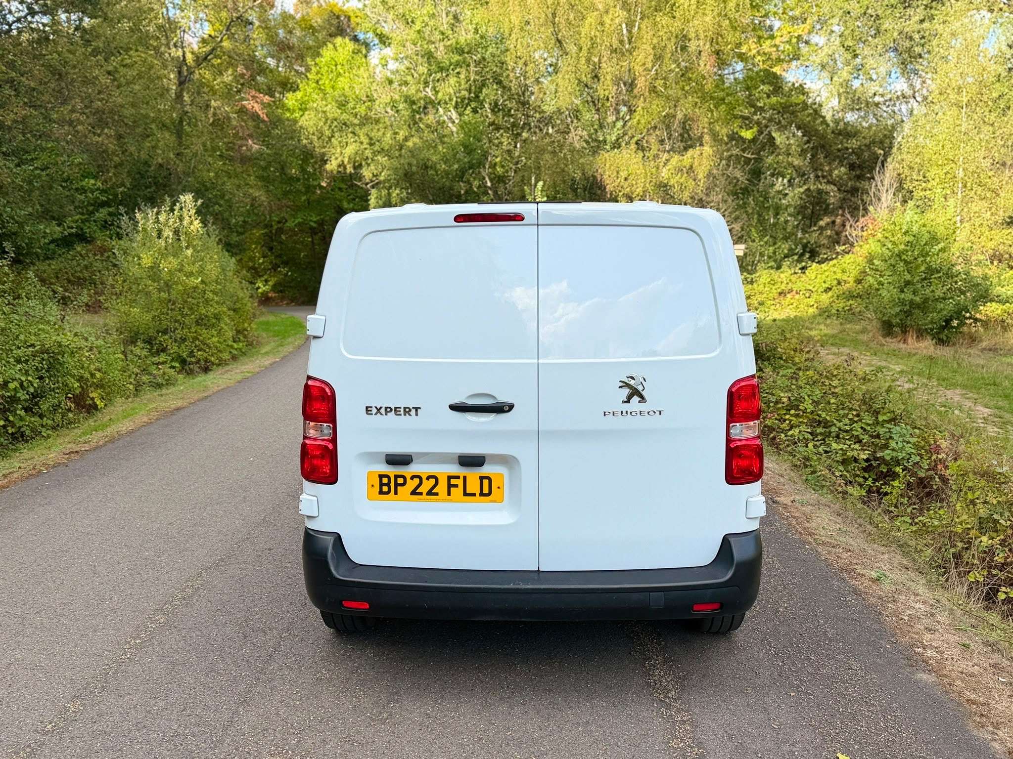 A 2022 PEUGEOT EXPERT 1.5 BlueHDi 1000 Professional Premium Standard Panel Van 6dr Diesel Manual MWB Euro 6 (s/s) (100 bhp) A 2022 PEUGEOT EXPERT 1.5 BlueHDi 1000 Professional Premium Standard Panel Van 6dr Diesel Manual MWB Euro 6 (s/s) (100 bhp)