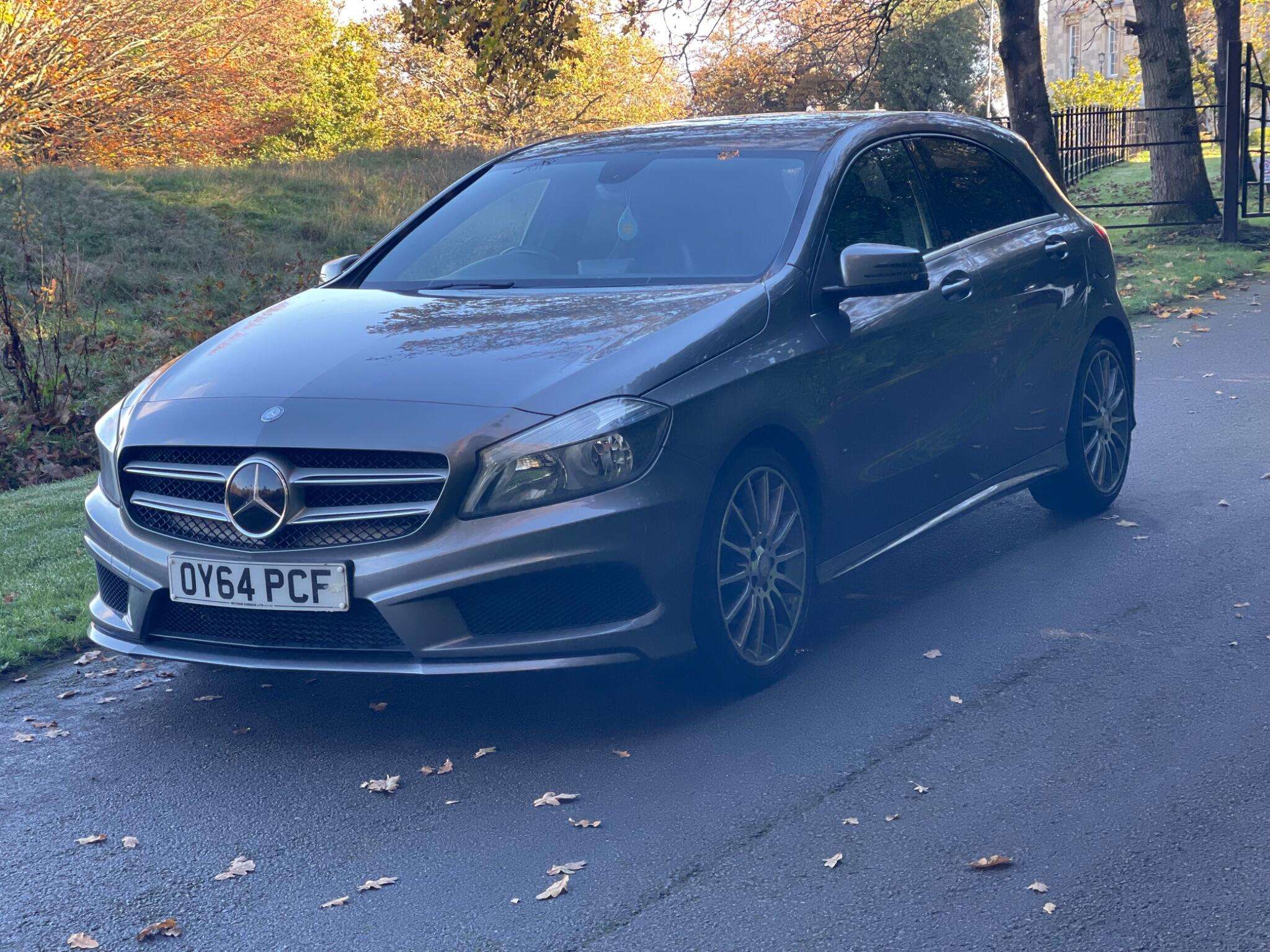 2014 MERCEDES-BENZ A CLASS 2014 MERCEDES-BENZ A CLASS