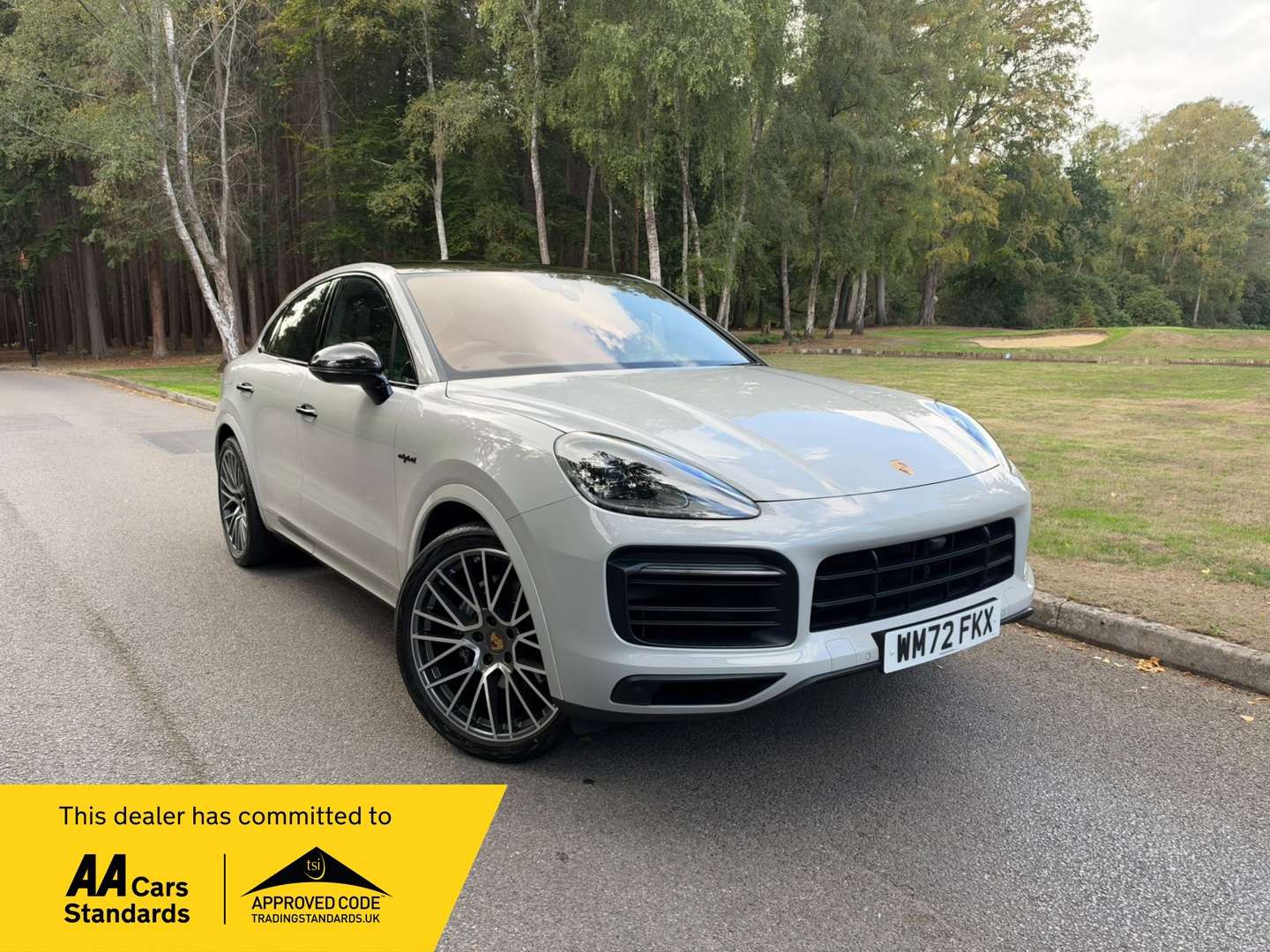 A 2023 PORSCHE CAYENNE 3.0 V6 E-Hybrid 17.9kWh Platinum Edition Coupe 5dr Petrol Plug-in Hybrid TiptronicS 4WD Euro 6 (s/s) (3.6kW Charger) (462 ps) A 2023 PORSCHE CAYENNE 3.0 V6 E-Hybrid 17.9kWh Platinum Edition Coupe 5dr Petrol Plug-in Hybrid TiptronicS 4WD Euro 6 (s/s) (3.6kW Charger) (462 ps)
