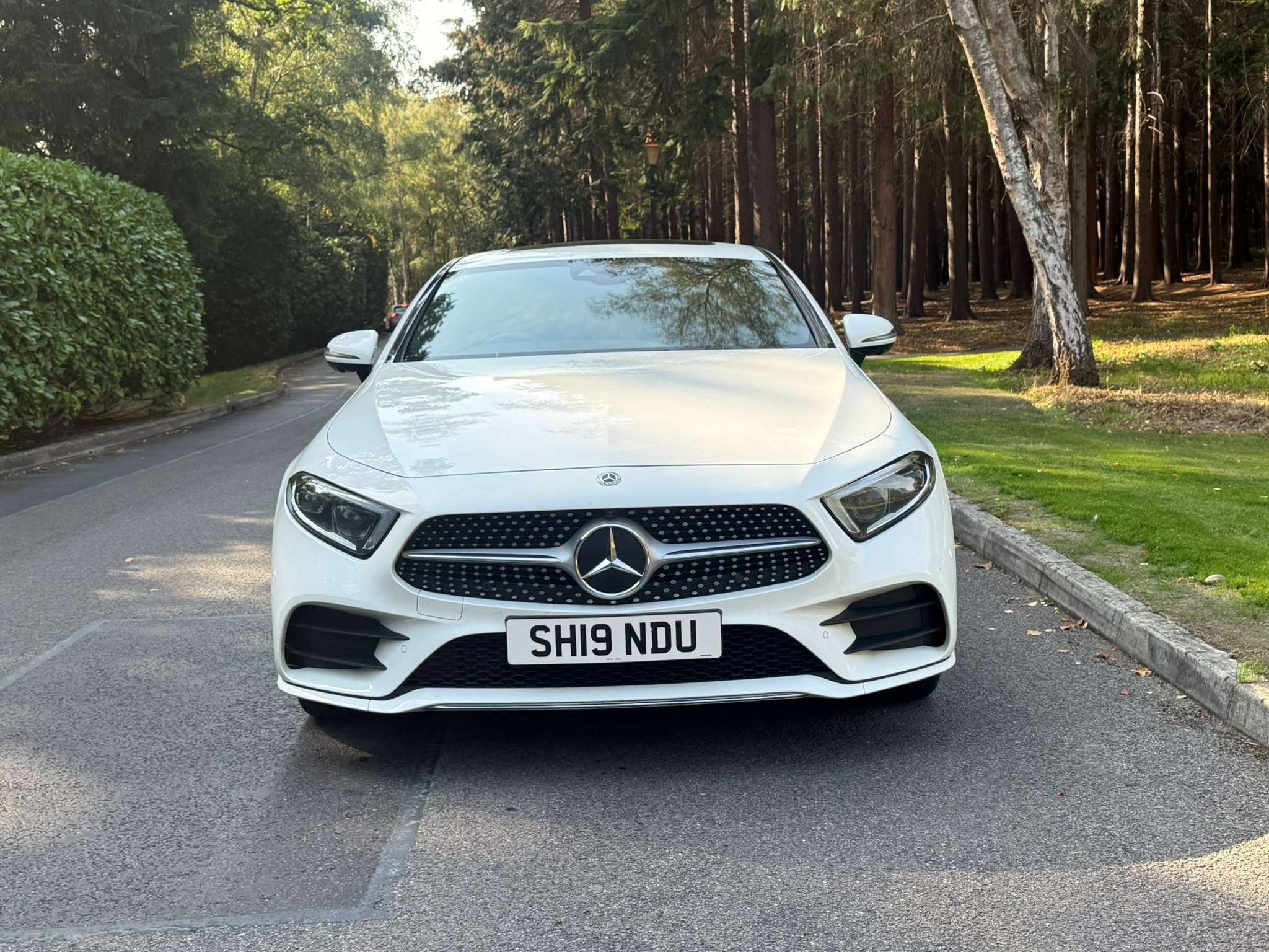 2019 MERCEDES-BENZ CLS CLASS 2019 MERCEDES-BENZ CLS CLASS