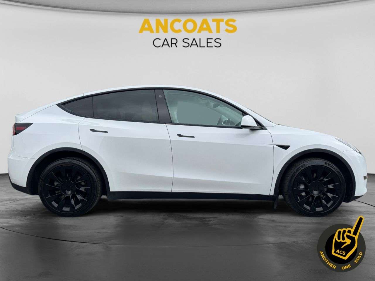 2023 TESLA MODEL Y 2023 TESLA MODEL Y