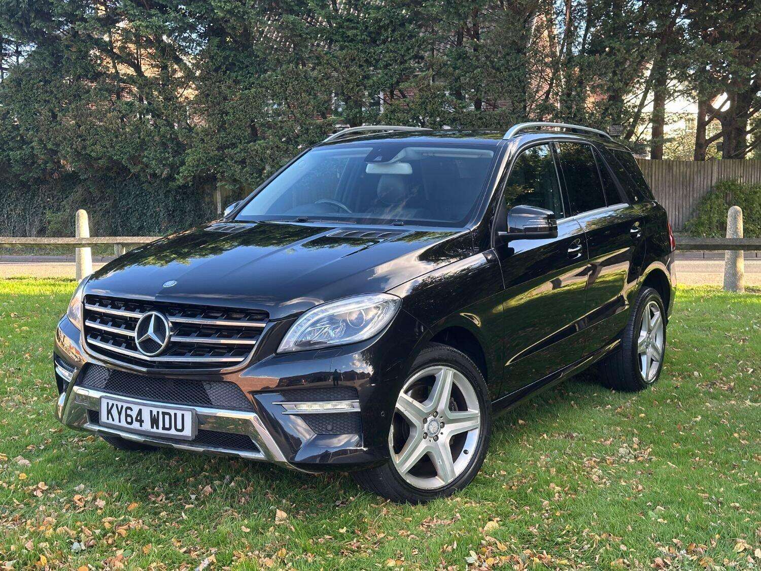 2014 MERCEDES-BENZ M CLASS 2014 MERCEDES-BENZ M CLASS