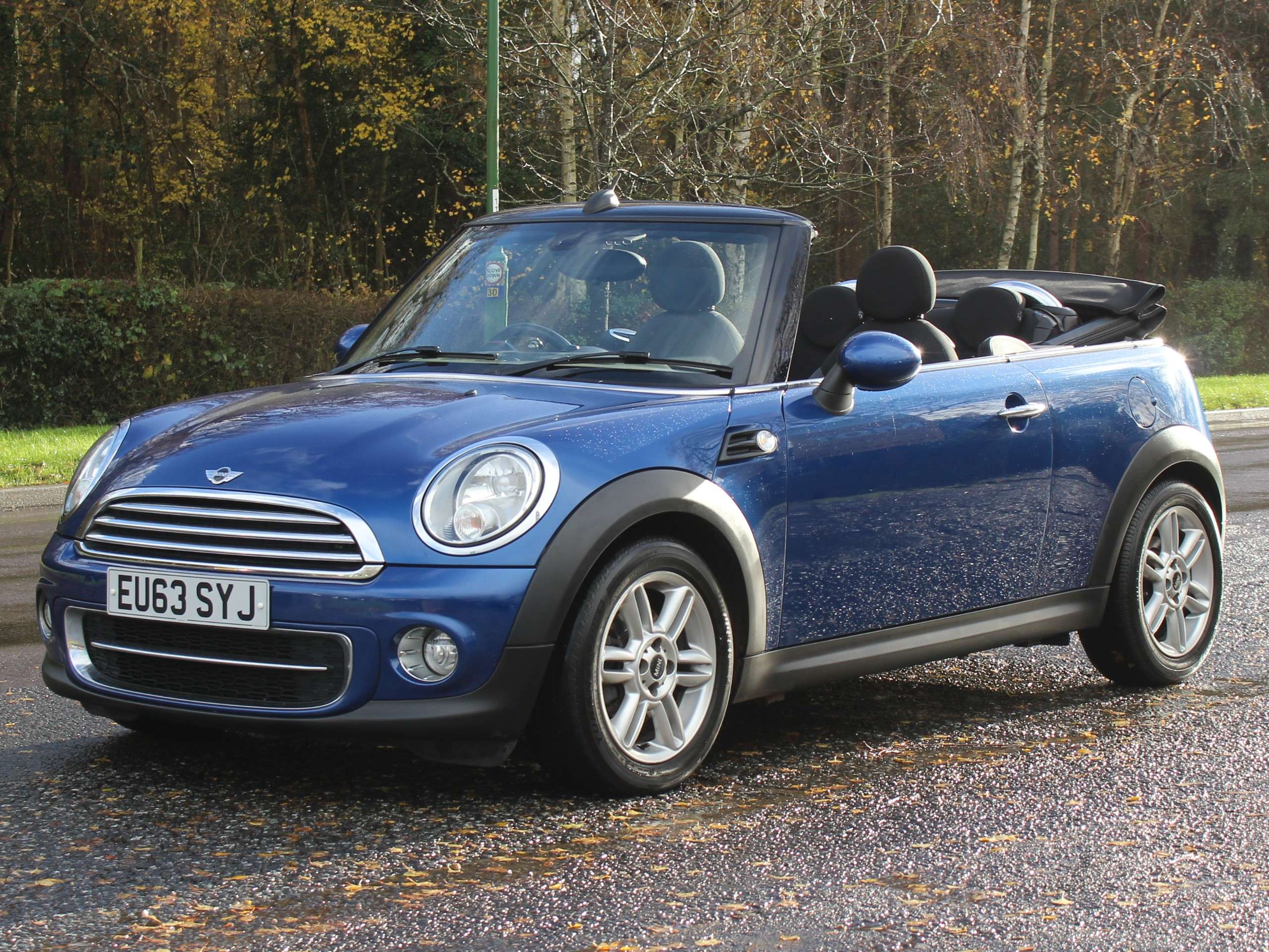 2013 MINI CONVERTIBLE 2013 MINI CONVERTIBLE