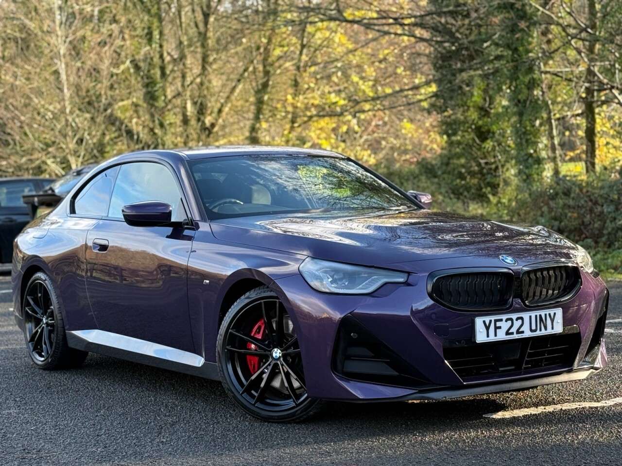 A 2022 BMW 2 SERIES 2.0 220d MHT M Sport Coupe 2dr Diesel Hybrid Auto Euro 6 (s/s) (190 ps) 19" A 2022 BMW 2 SERIES 2.0 220d MHT M Sport Coupe 2dr Diesel Hybrid Auto Euro 6 (s/s) (190 ps) 19"