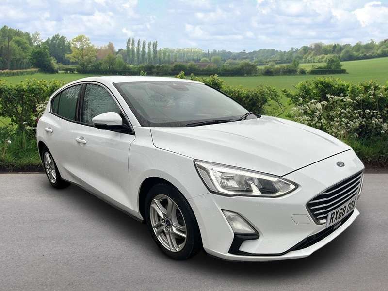 2019 FORD FOCUS 2019 FORD FOCUS