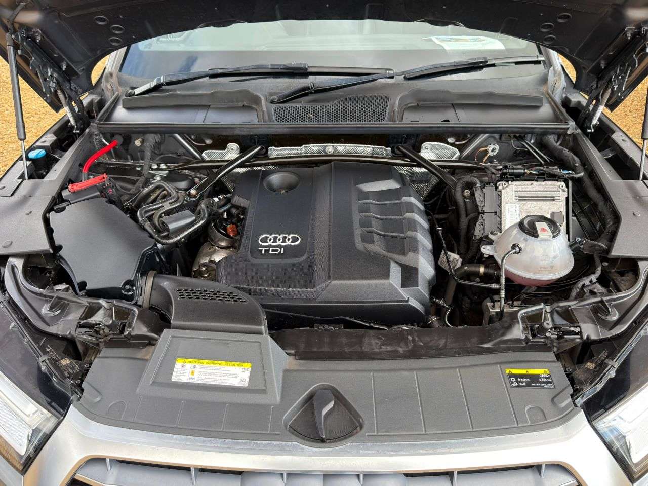 2019 AUDI Q5 2019 AUDI Q5