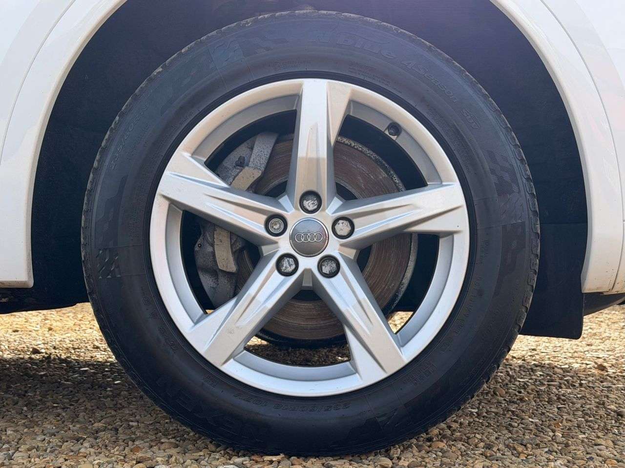2019 AUDI Q5 2019 AUDI Q5