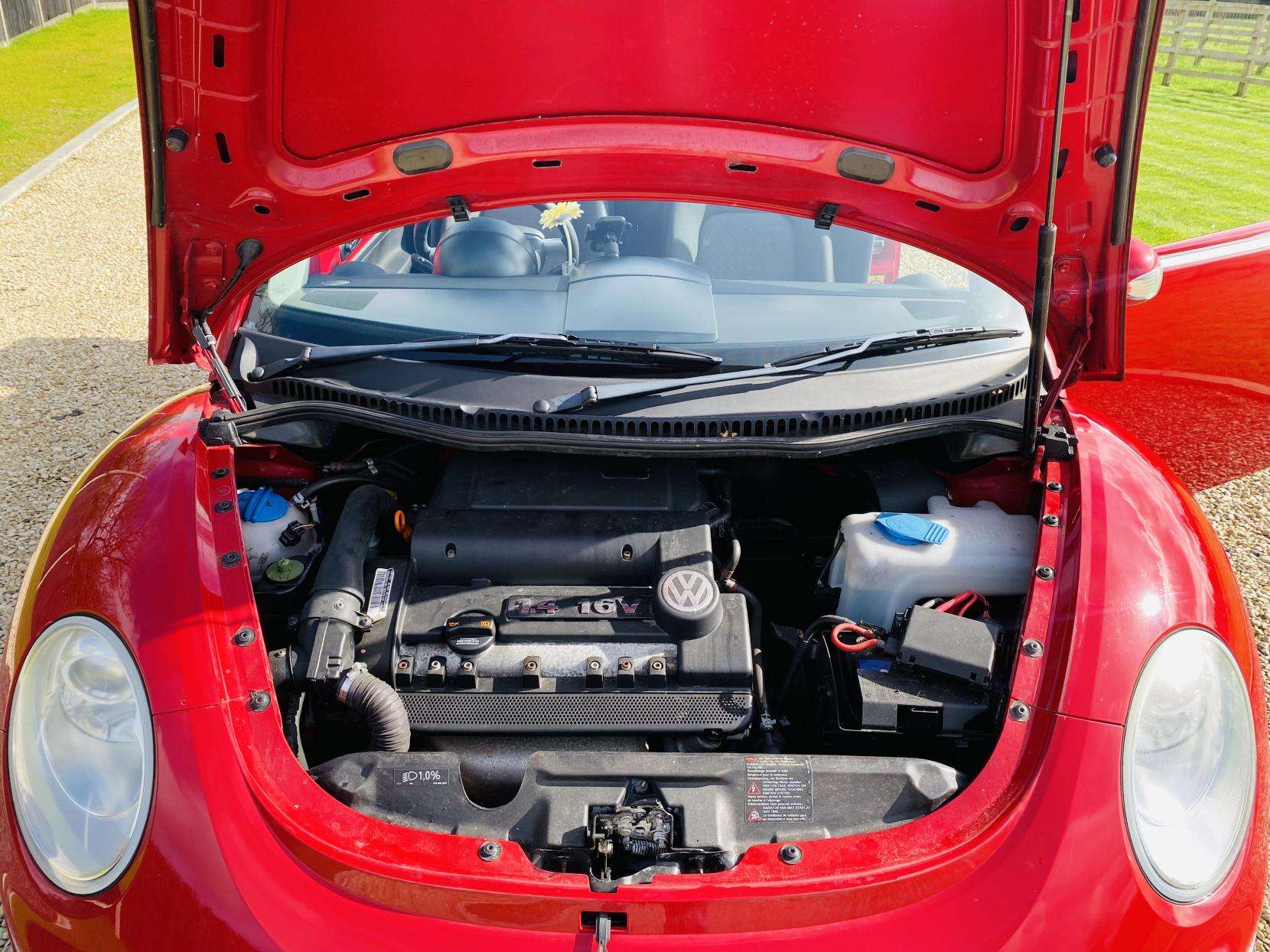 2009 VOLKSWAGEN BEETLE 2009 VOLKSWAGEN BEETLE