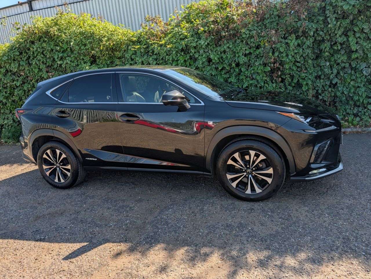 2019 LEXUS NX 2019 LEXUS NX