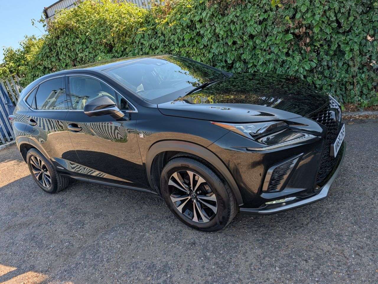 2019 LEXUS NX 2019 LEXUS NX