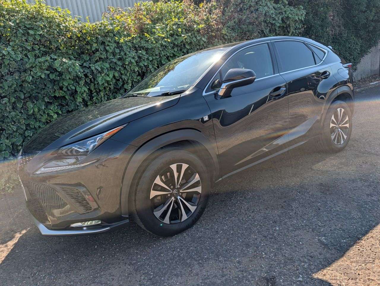 2019 LEXUS NX 2019 LEXUS NX
