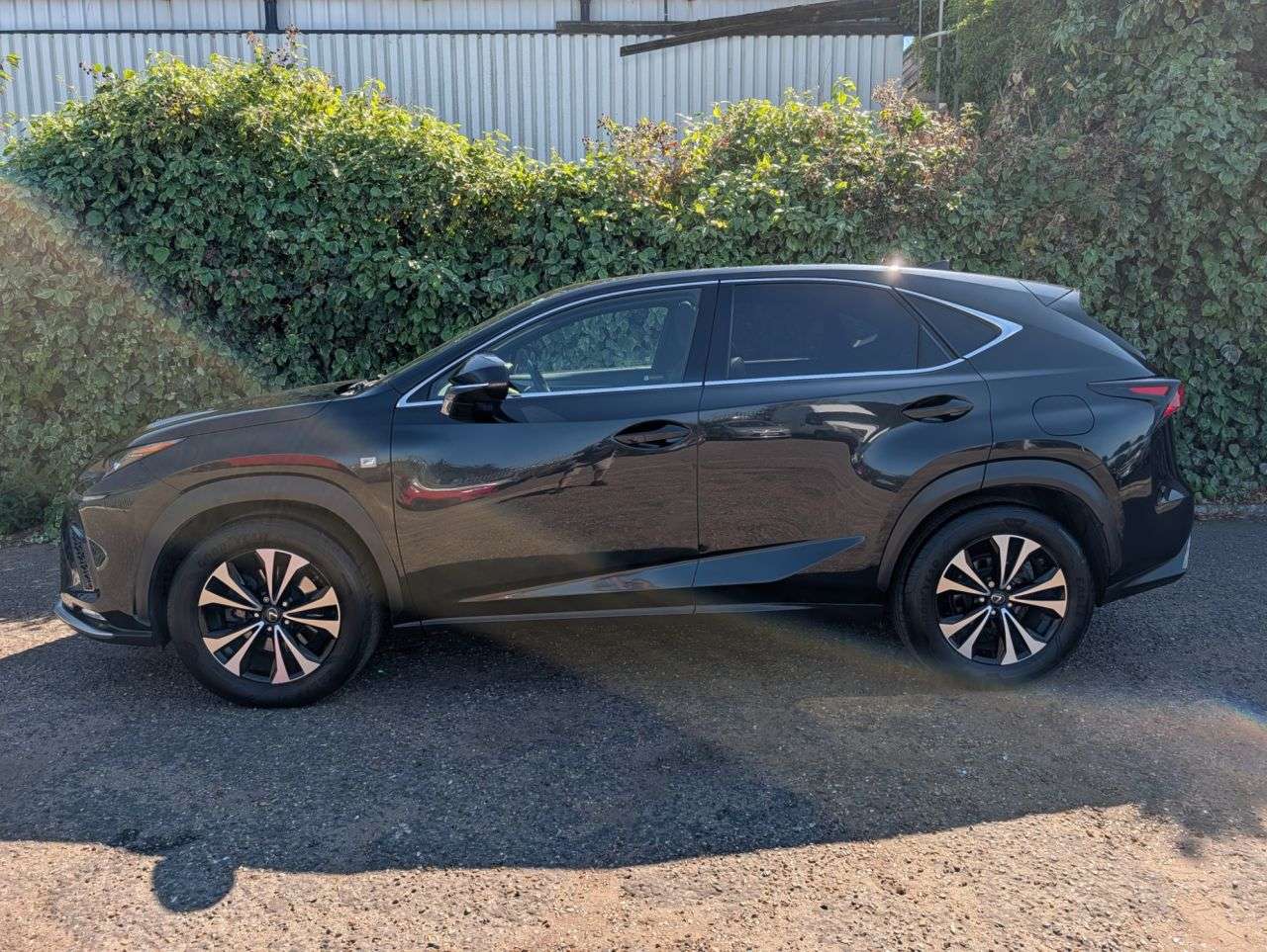 2019 LEXUS NX 2019 LEXUS NX