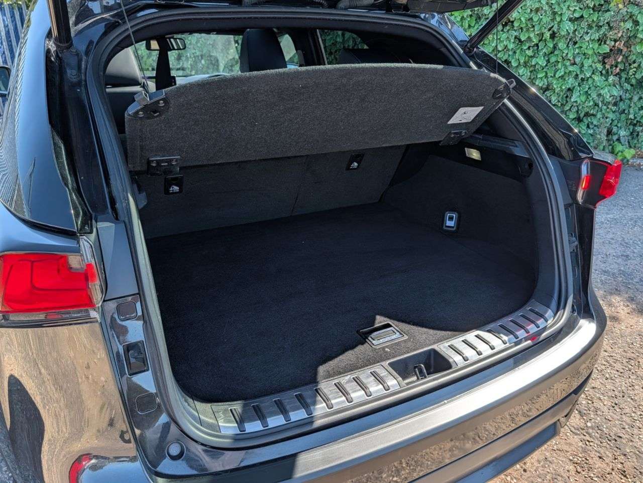 2019 LEXUS NX 2019 LEXUS NX