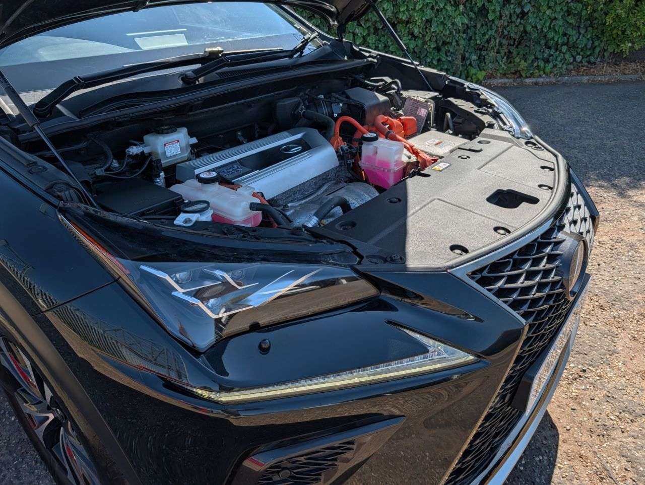 2019 LEXUS NX 2019 LEXUS NX