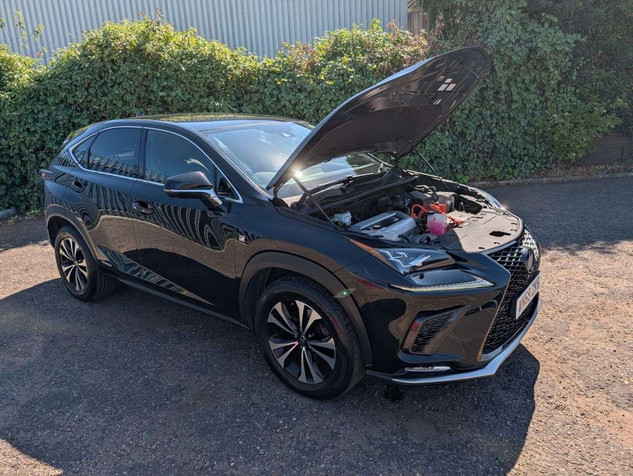 2019 LEXUS NX 2019 LEXUS NX