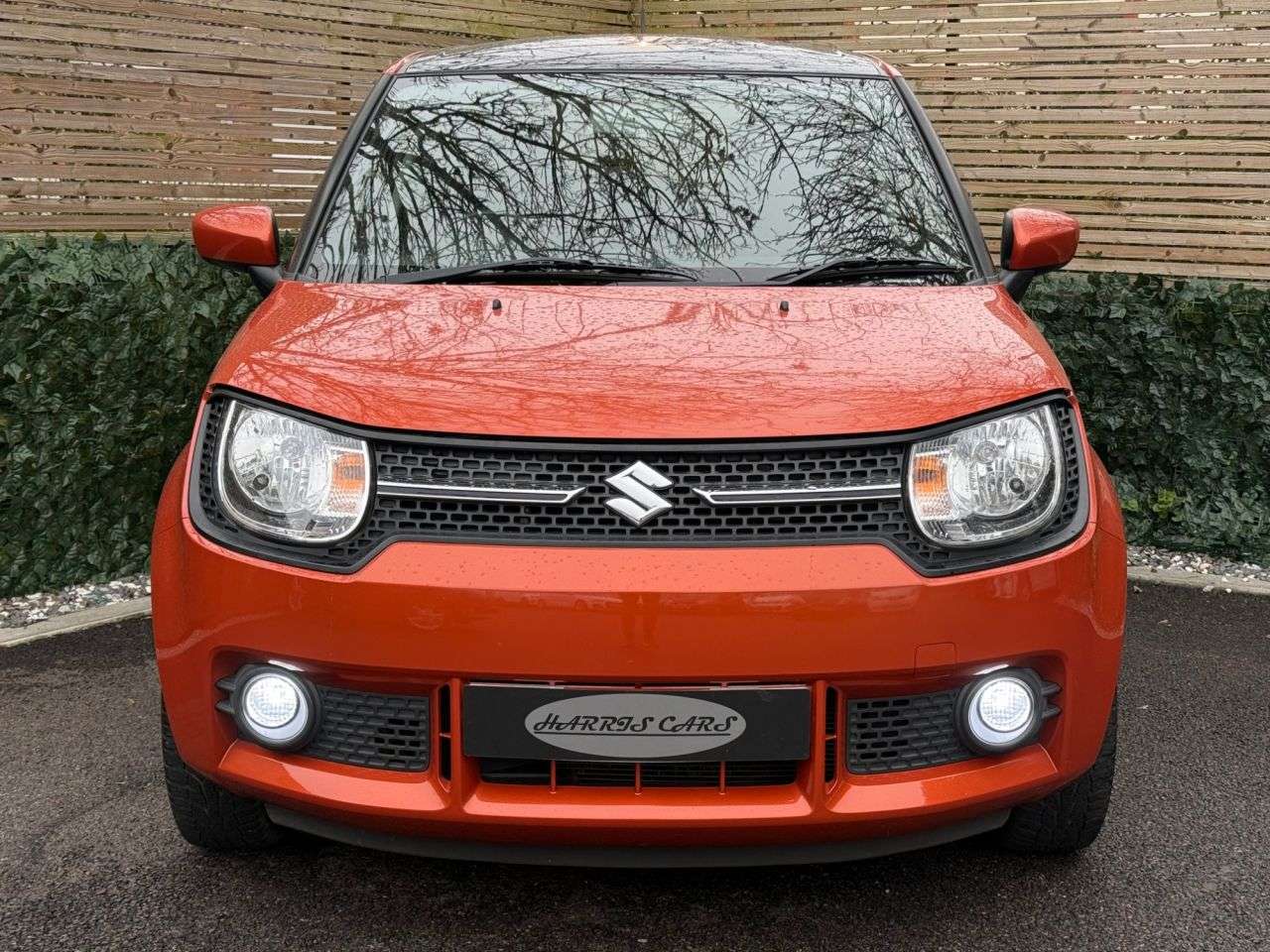 2017 SUZUKI IGNIS 2017 SUZUKI IGNIS