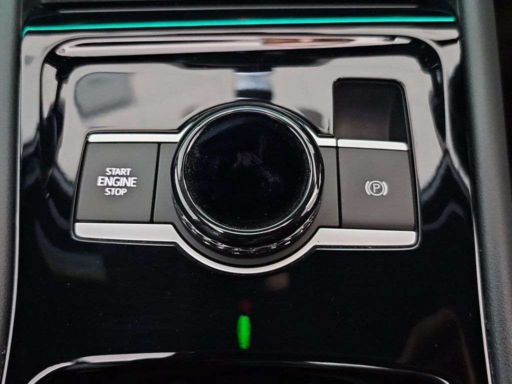 2024 VOLKSWAGEN TIGUAN 2024 VOLKSWAGEN TIGUAN