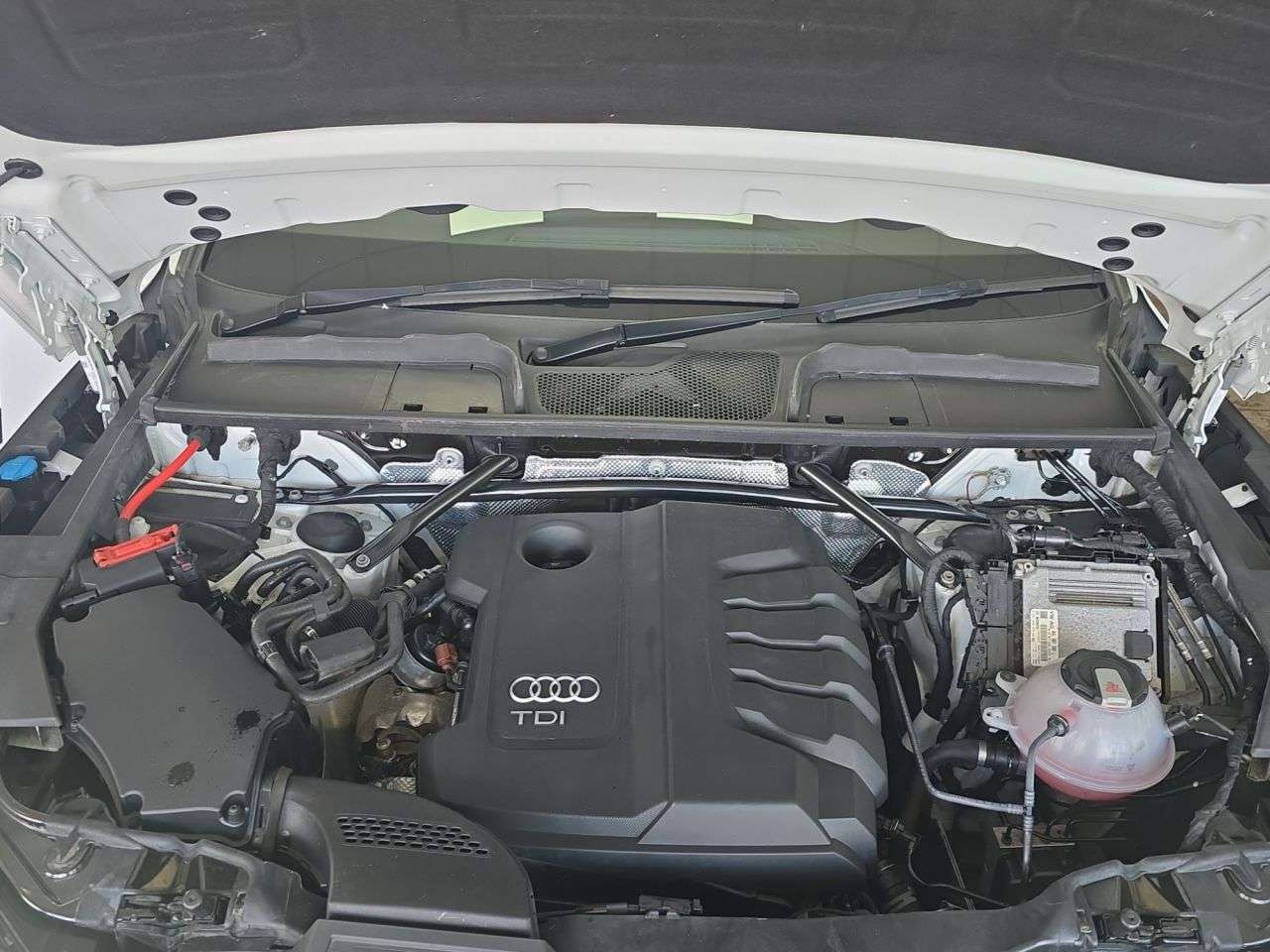 2019 AUDI Q5 2019 AUDI Q5
