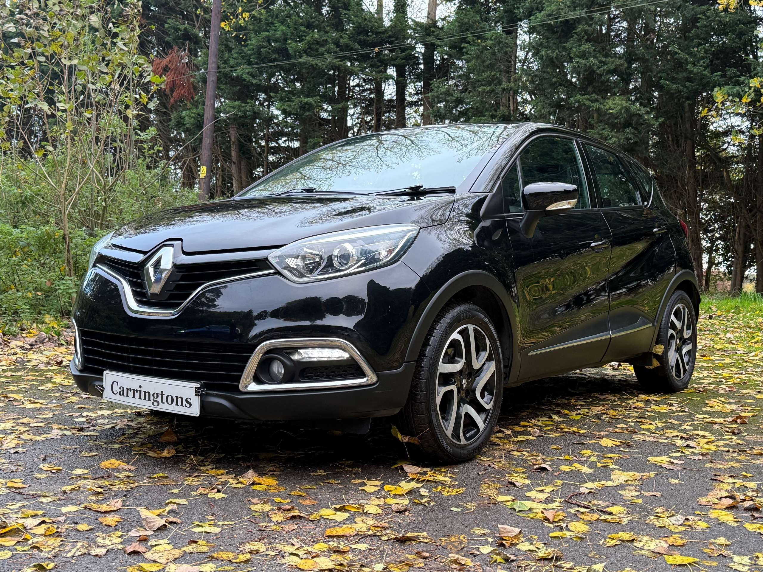 2013 RENAULT CAPTUR 2013 RENAULT CAPTUR