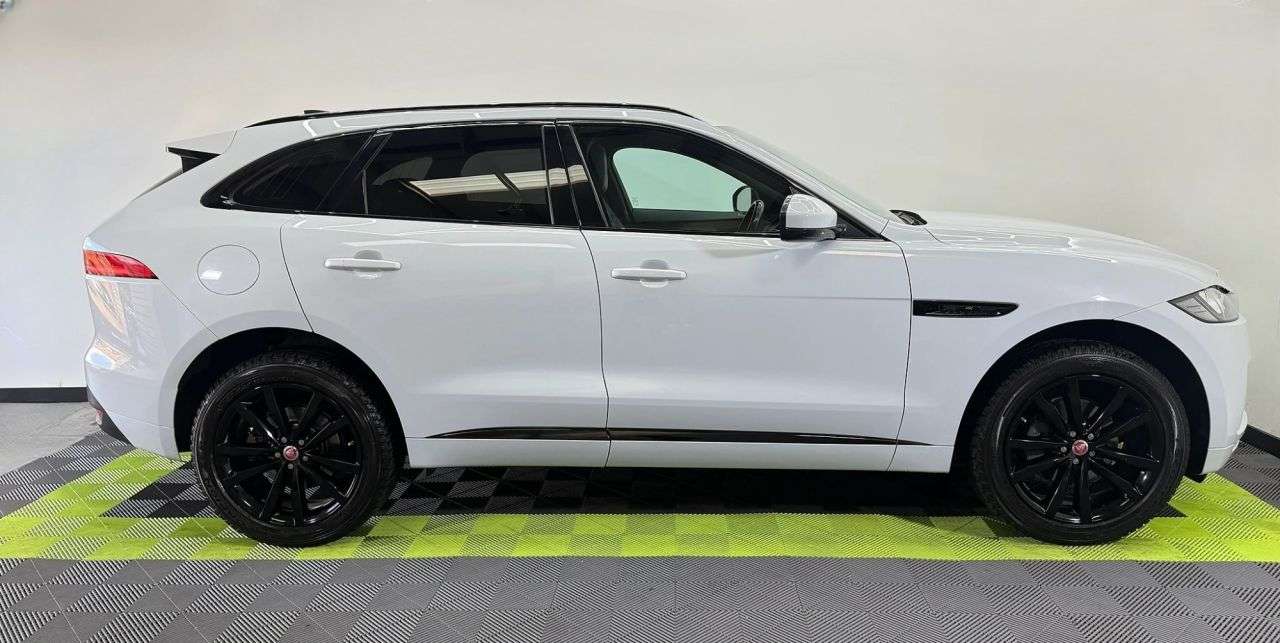 2019 JAGUAR F-PACE 2019 JAGUAR F-PACE