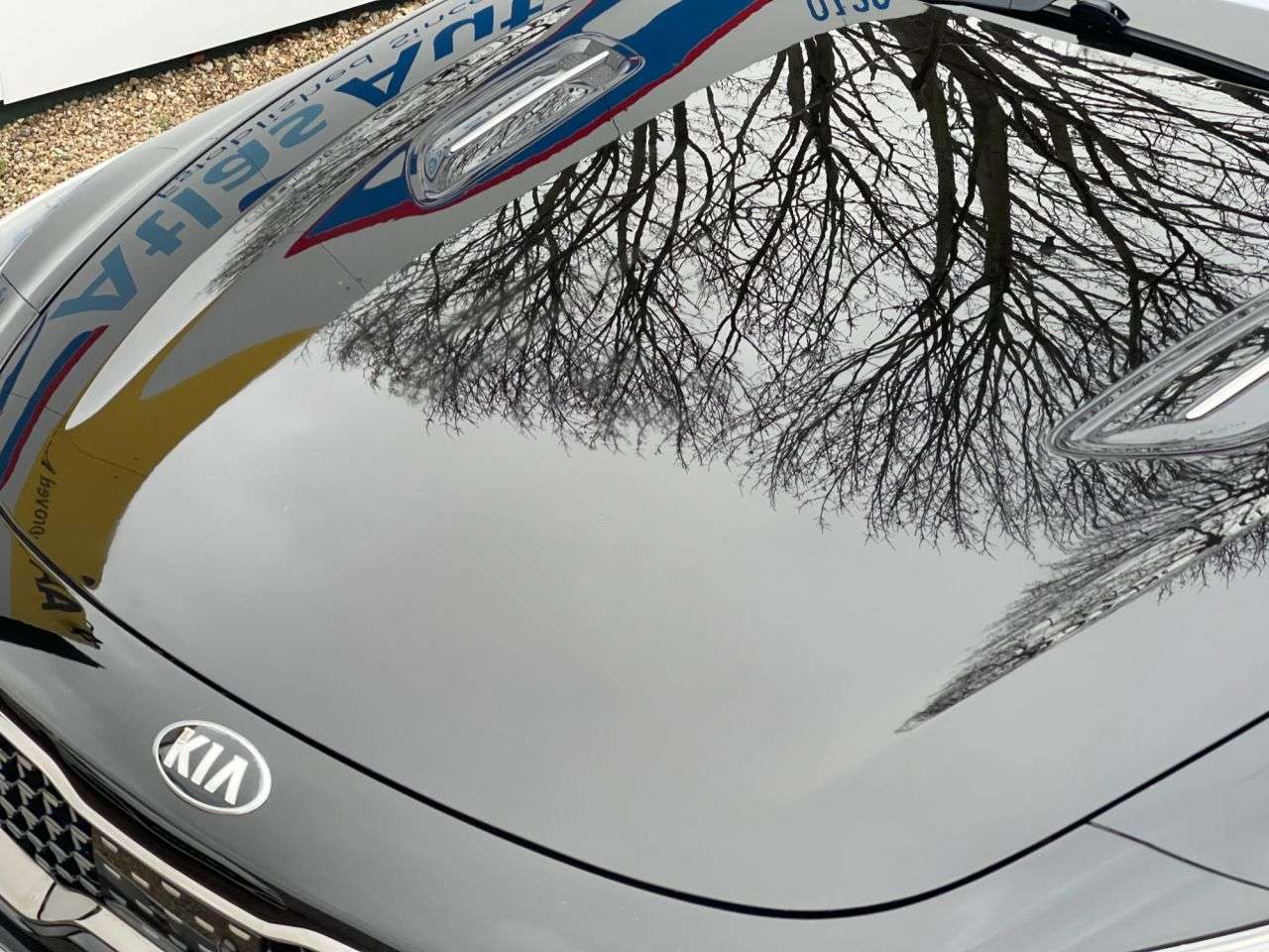 2019 KIA STINGER 2019 KIA STINGER