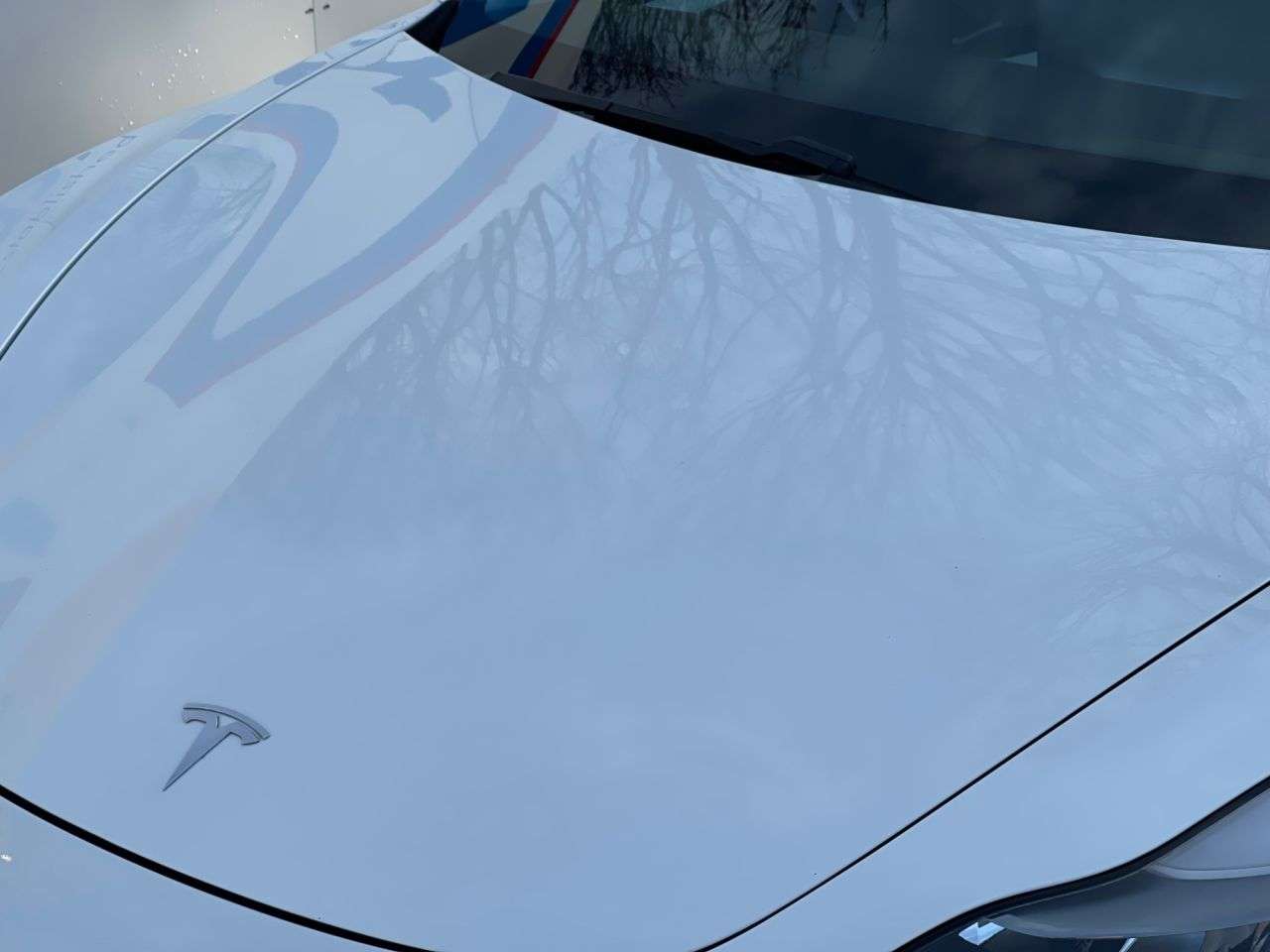 2021 TESLA MODEL 3 2021 TESLA MODEL 3