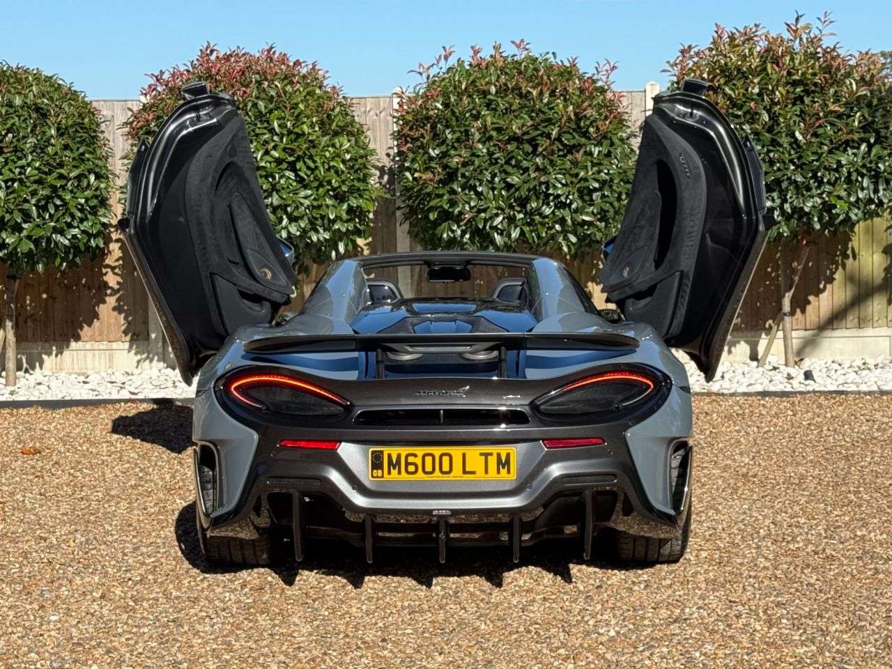 2019 MCLAREN 600LT 2019 MCLAREN 600LT