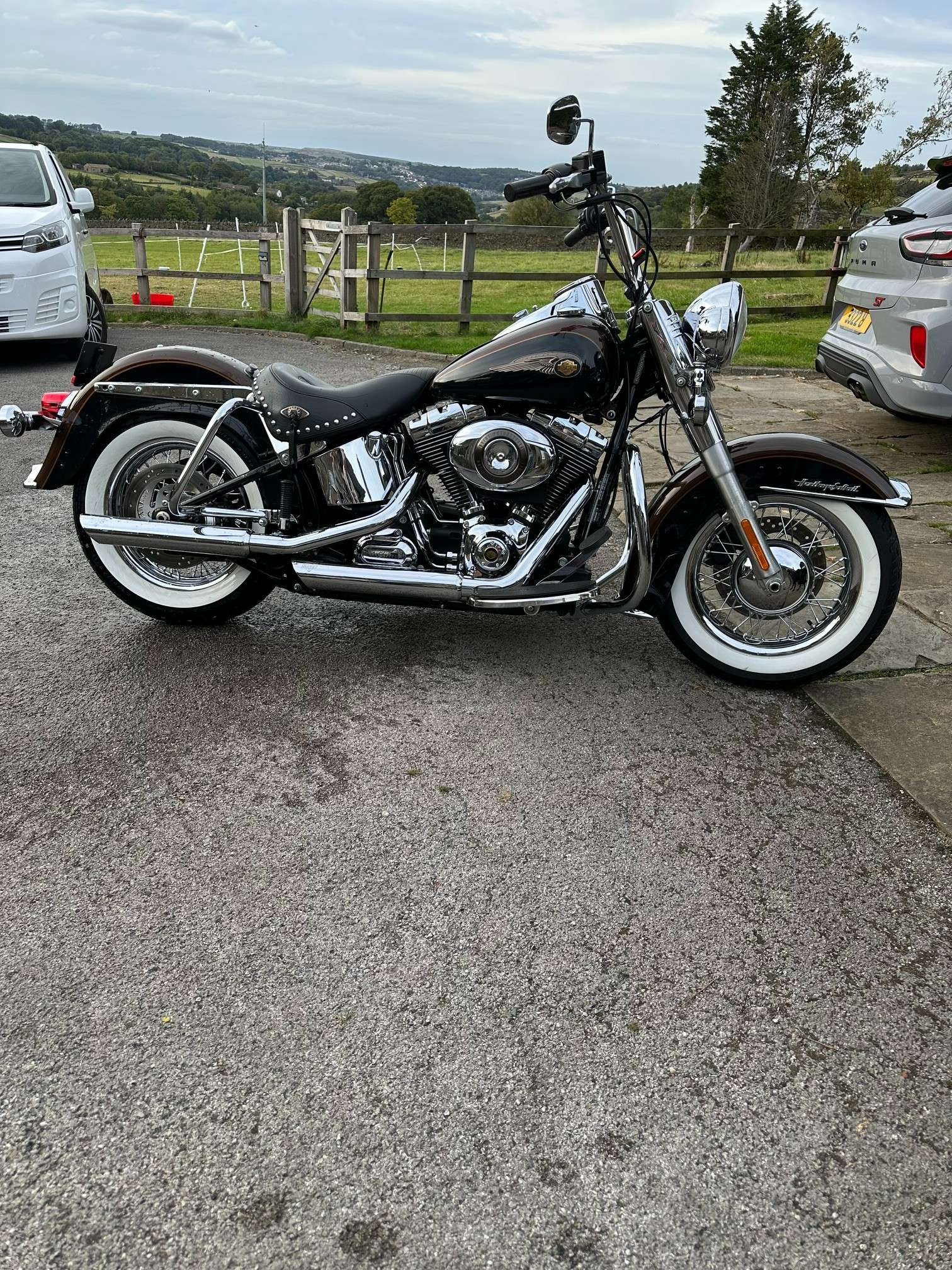 2013 HARLEY-DAVIDSON SOFTAIL 2013 HARLEY-DAVIDSON SOFTAIL