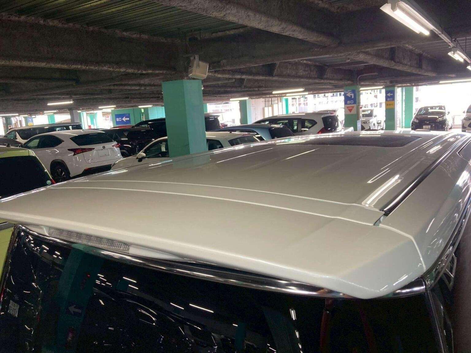 2010 NISSAN ELGRAND 2010 NISSAN ELGRAND