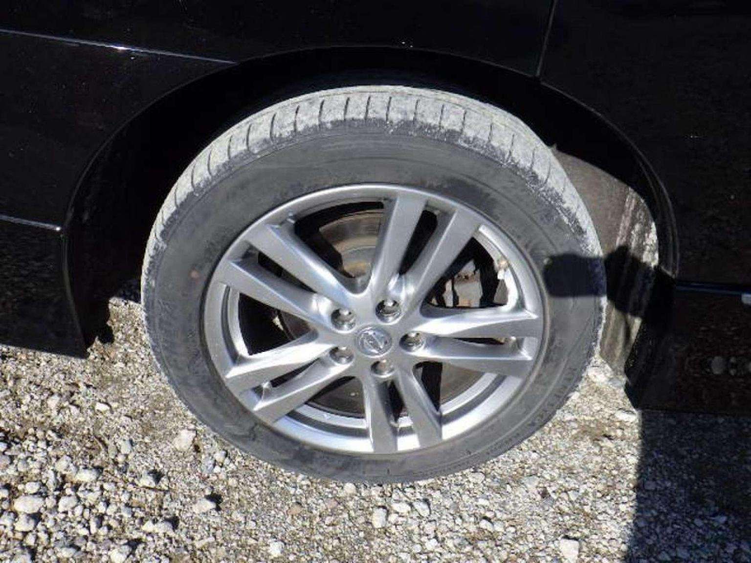 2010 NISSAN ELGRAND 2010 NISSAN ELGRAND