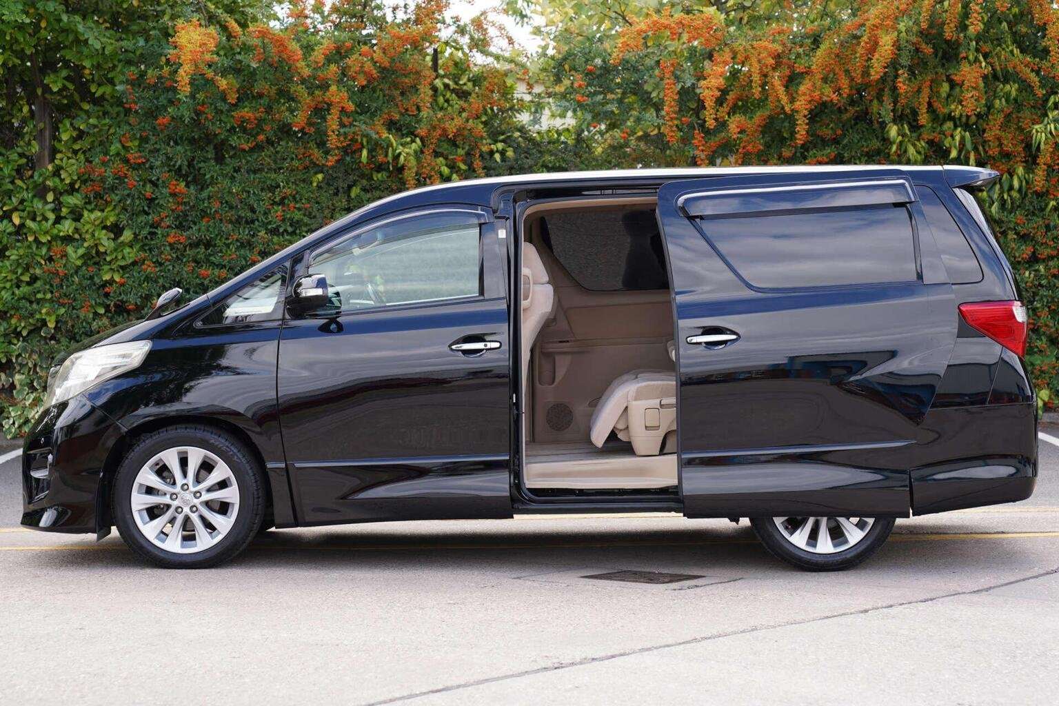 2010 TOYOTA ALPHARD 2010 TOYOTA ALPHARD