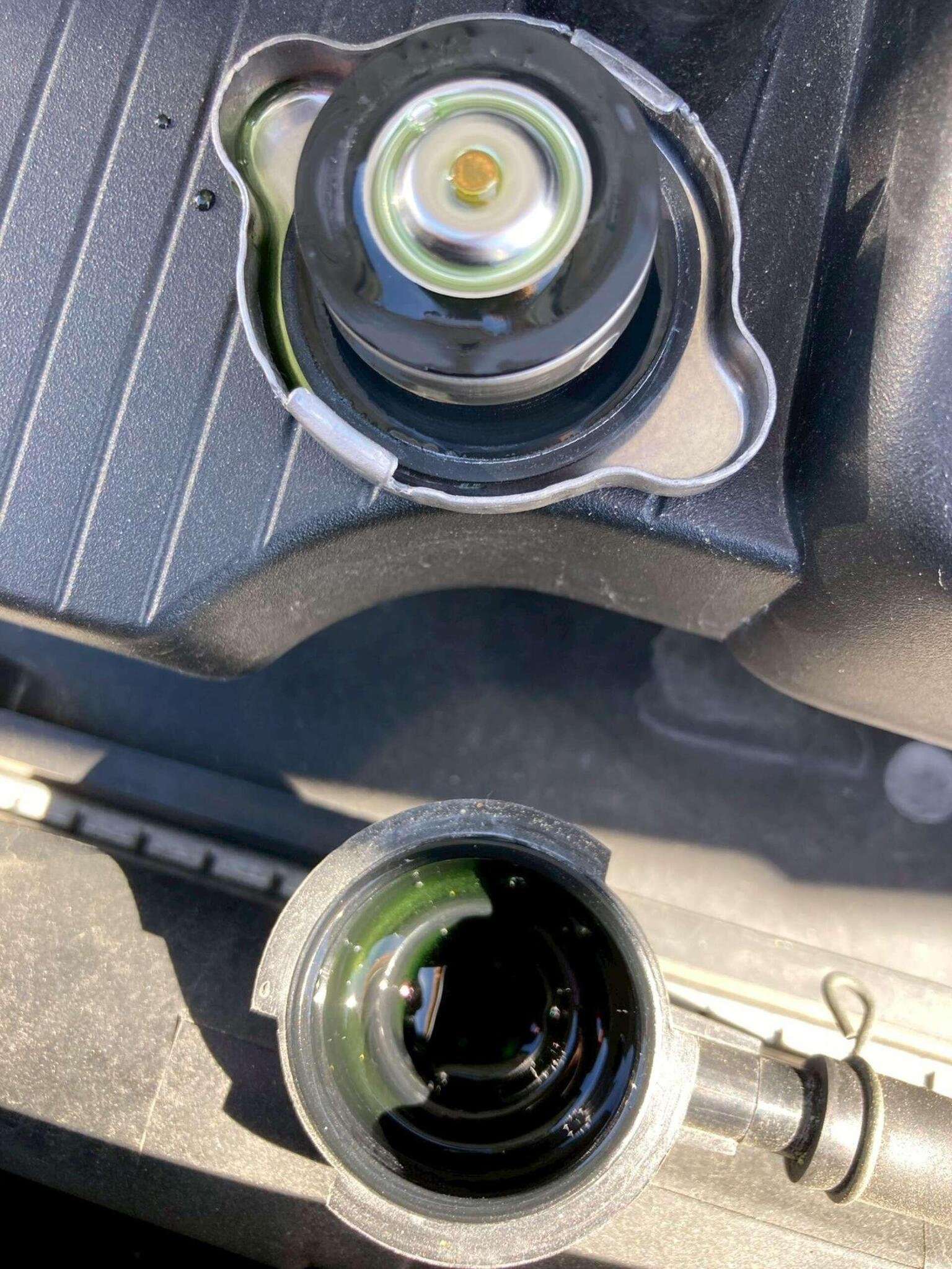 2006 NISSAN ELGRAND 2006 NISSAN ELGRAND