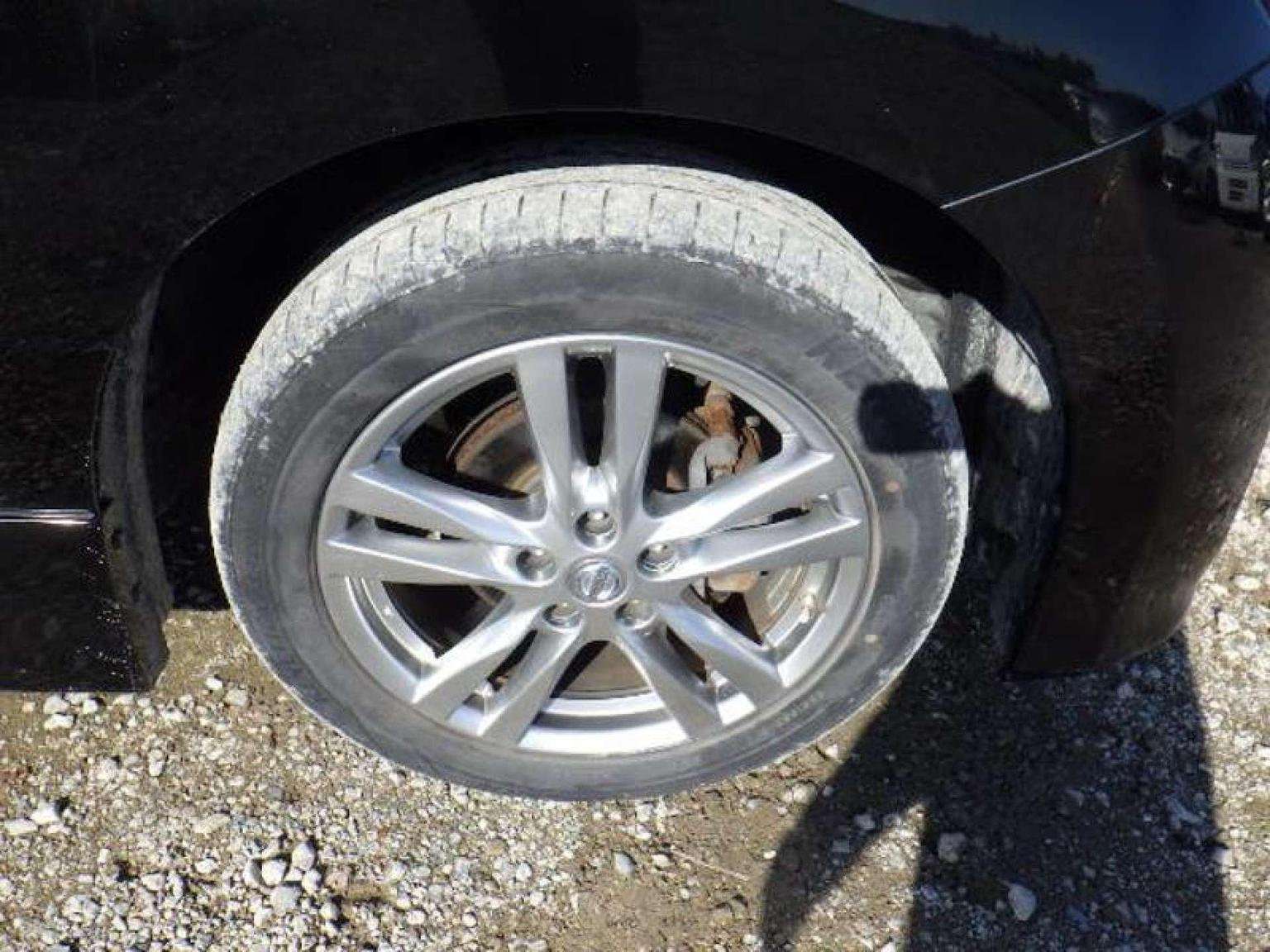 2010 NISSAN ELGRAND 2010 NISSAN ELGRAND