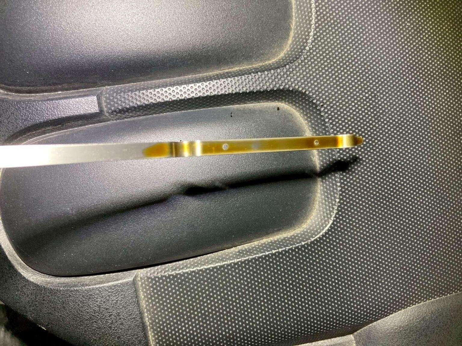 2010 NISSAN ELGRAND 2010 NISSAN ELGRAND