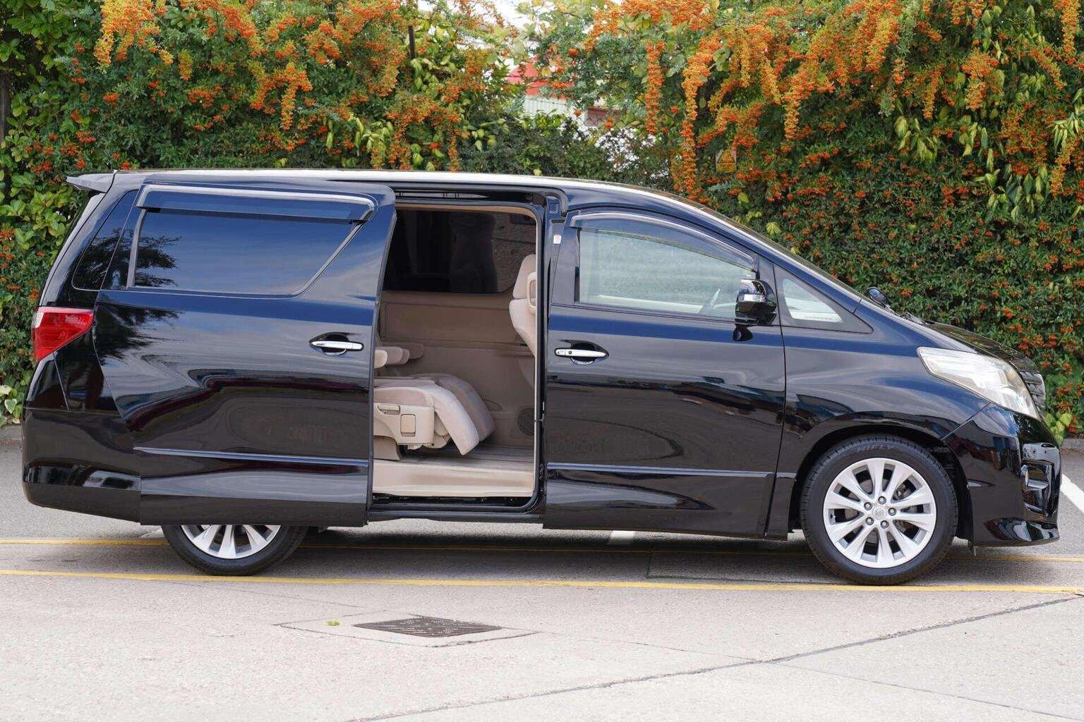 2010 TOYOTA ALPHARD 2010 TOYOTA ALPHARD