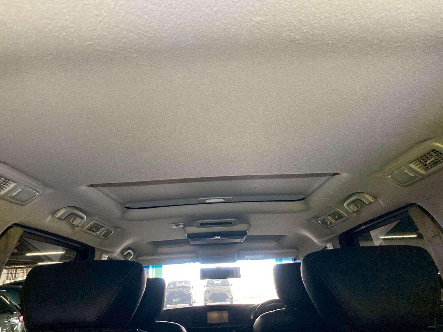 2010 NISSAN ELGRAND 2010 NISSAN ELGRAND