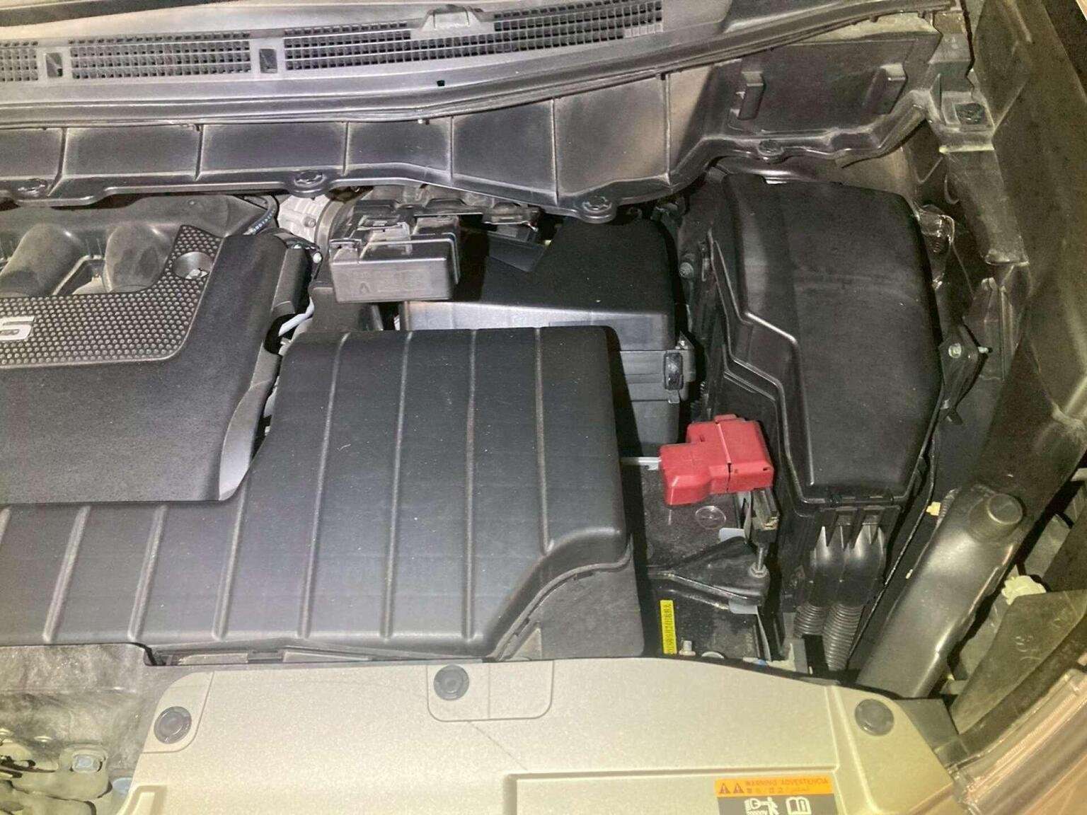 2010 NISSAN ELGRAND 2010 NISSAN ELGRAND