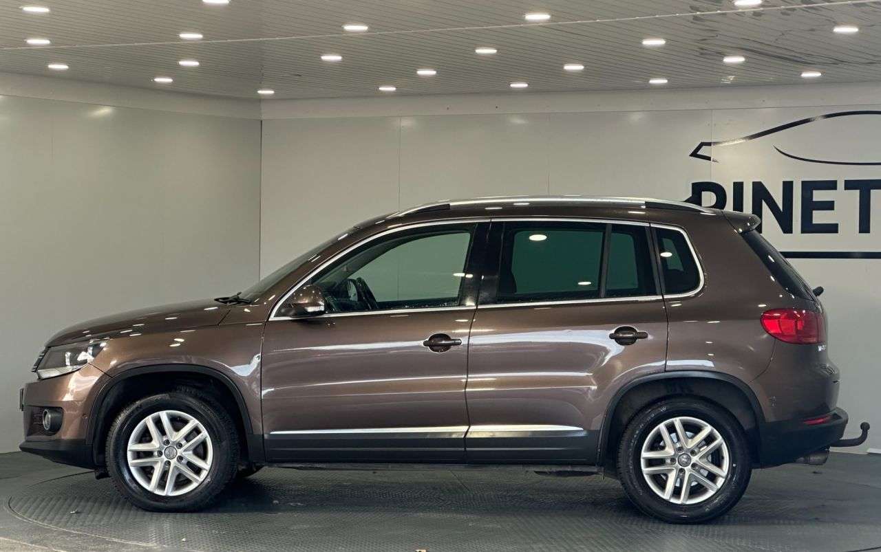 2015 VOLKSWAGEN TIGUAN 2015 VOLKSWAGEN TIGUAN