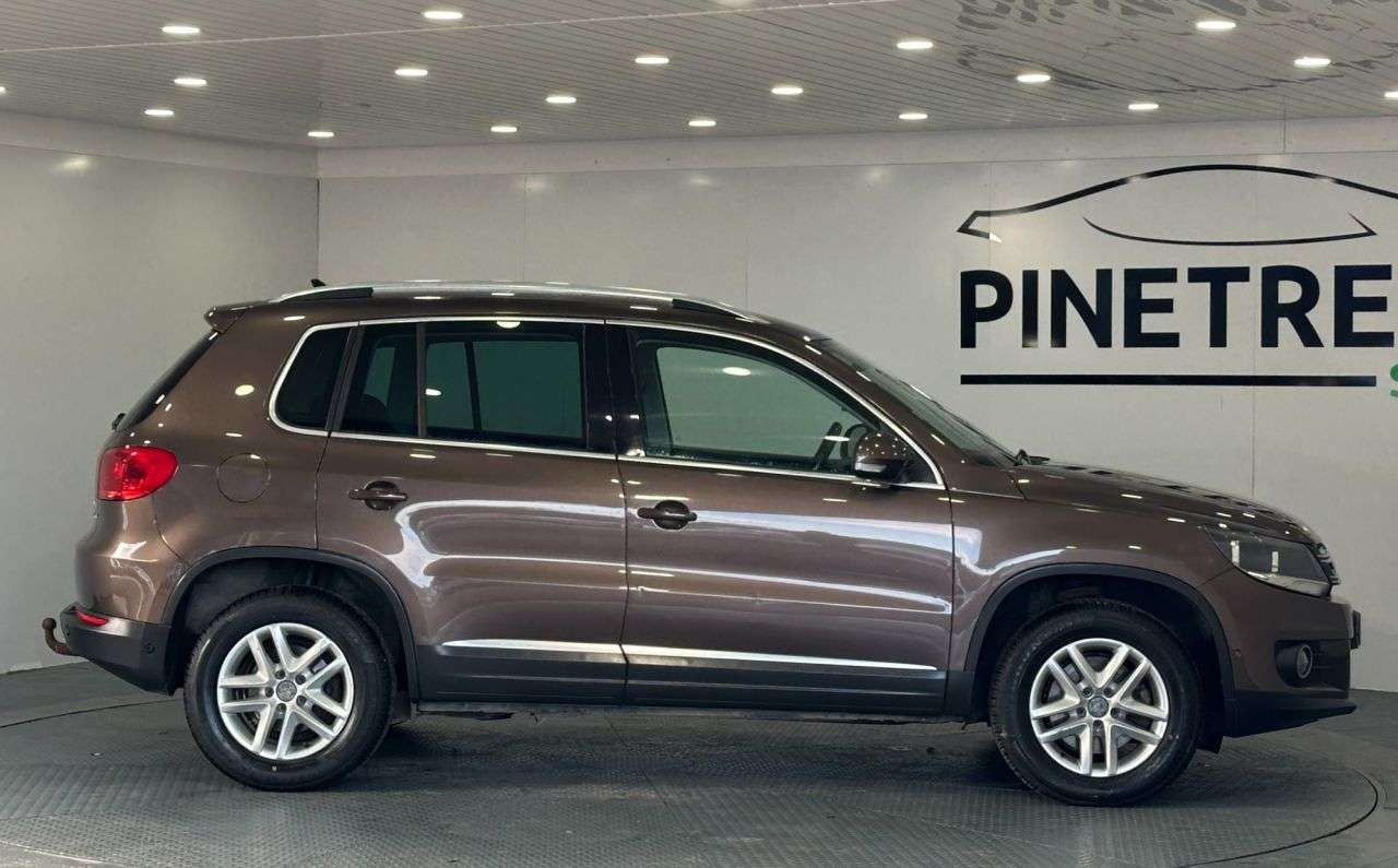 2015 VOLKSWAGEN TIGUAN 2015 VOLKSWAGEN TIGUAN