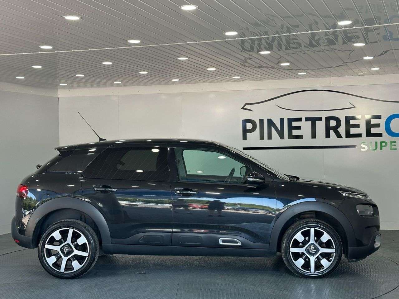 2019 CITROEN C4 CACTUS 2019 CITROEN C4 CACTUS