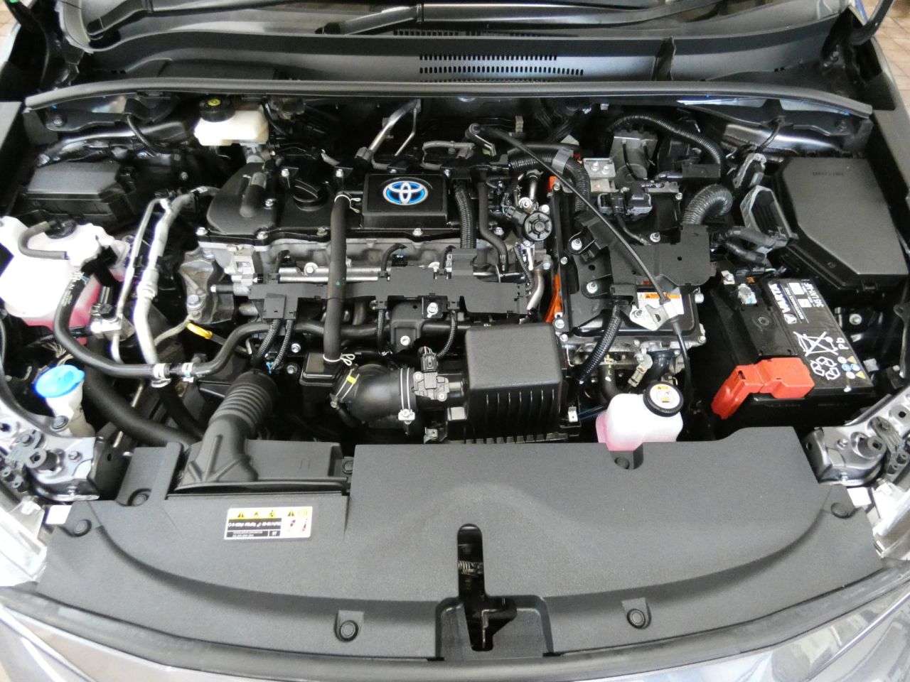 2023 TOYOTA COROLLA 2023 TOYOTA COROLLA